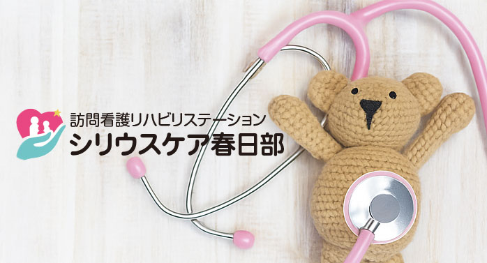 シリウスケア春日部 メイン画像